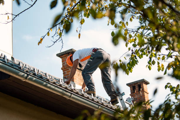 Fast & Reliable Emergency Roof Repairs in Des Peres, MO