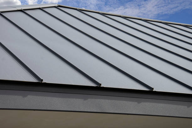 Best Roof Moss and Algae Removal  in Des Peres, MO